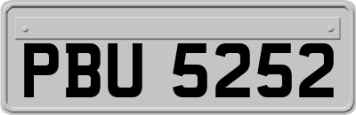 PBU5252