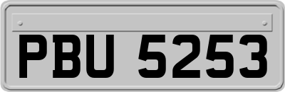 PBU5253