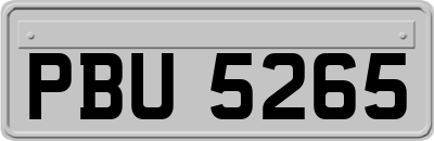 PBU5265