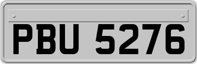 PBU5276