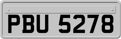 PBU5278