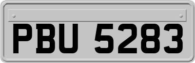 PBU5283