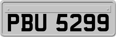 PBU5299