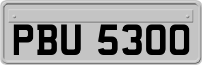 PBU5300