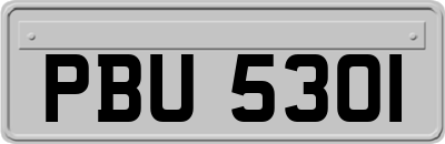 PBU5301