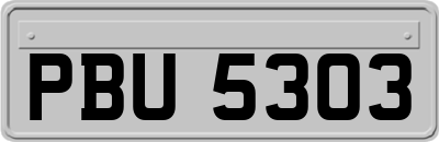 PBU5303