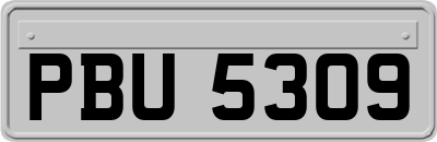 PBU5309