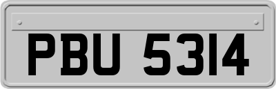 PBU5314