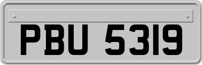 PBU5319