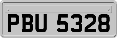 PBU5328