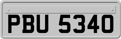 PBU5340