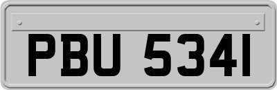 PBU5341