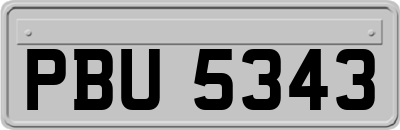 PBU5343