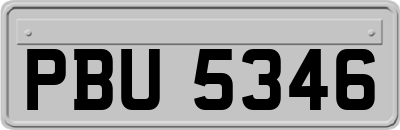 PBU5346