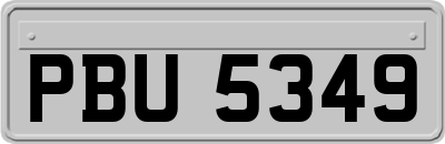 PBU5349