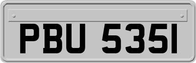 PBU5351