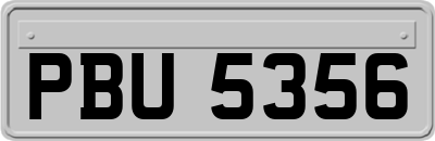 PBU5356