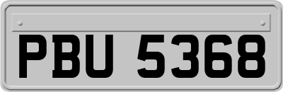 PBU5368