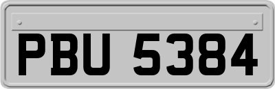 PBU5384