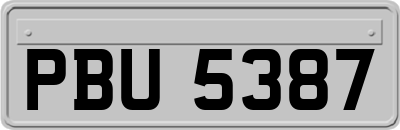 PBU5387