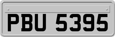 PBU5395