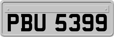 PBU5399