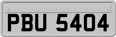 PBU5404