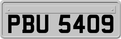 PBU5409