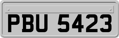 PBU5423