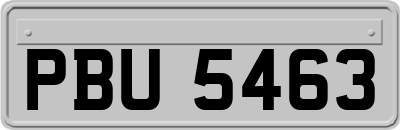 PBU5463