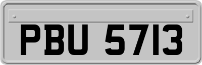 PBU5713