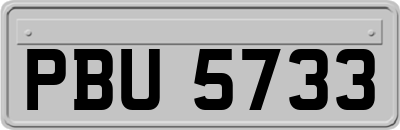 PBU5733