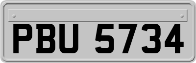 PBU5734