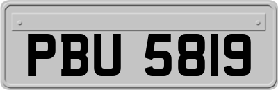 PBU5819