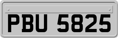 PBU5825