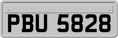 PBU5828