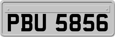 PBU5856