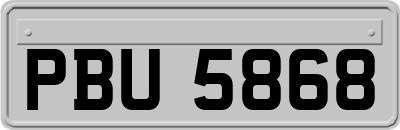 PBU5868