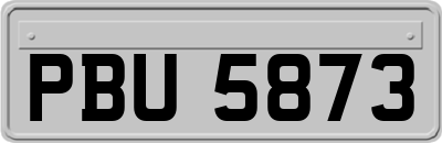 PBU5873