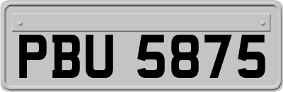 PBU5875