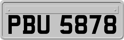 PBU5878