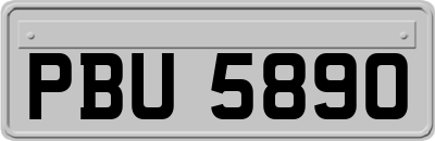 PBU5890