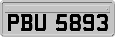 PBU5893