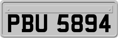 PBU5894