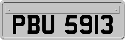 PBU5913