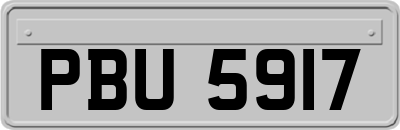 PBU5917