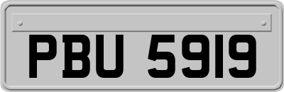 PBU5919