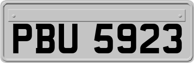 PBU5923