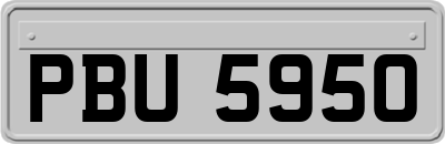 PBU5950