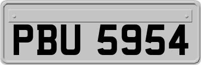 PBU5954